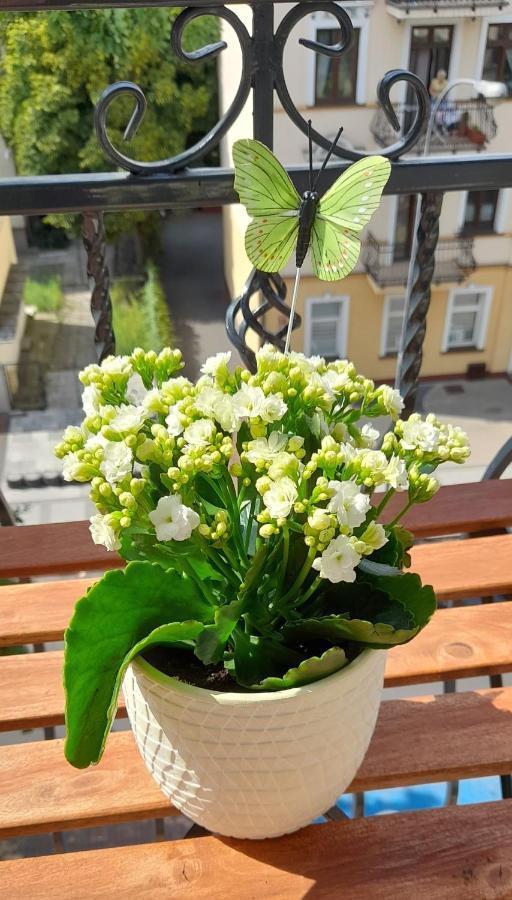 Apartament Black Sea 2 Rooms - Pokoje Свиноуйсьце Экстерьер фото